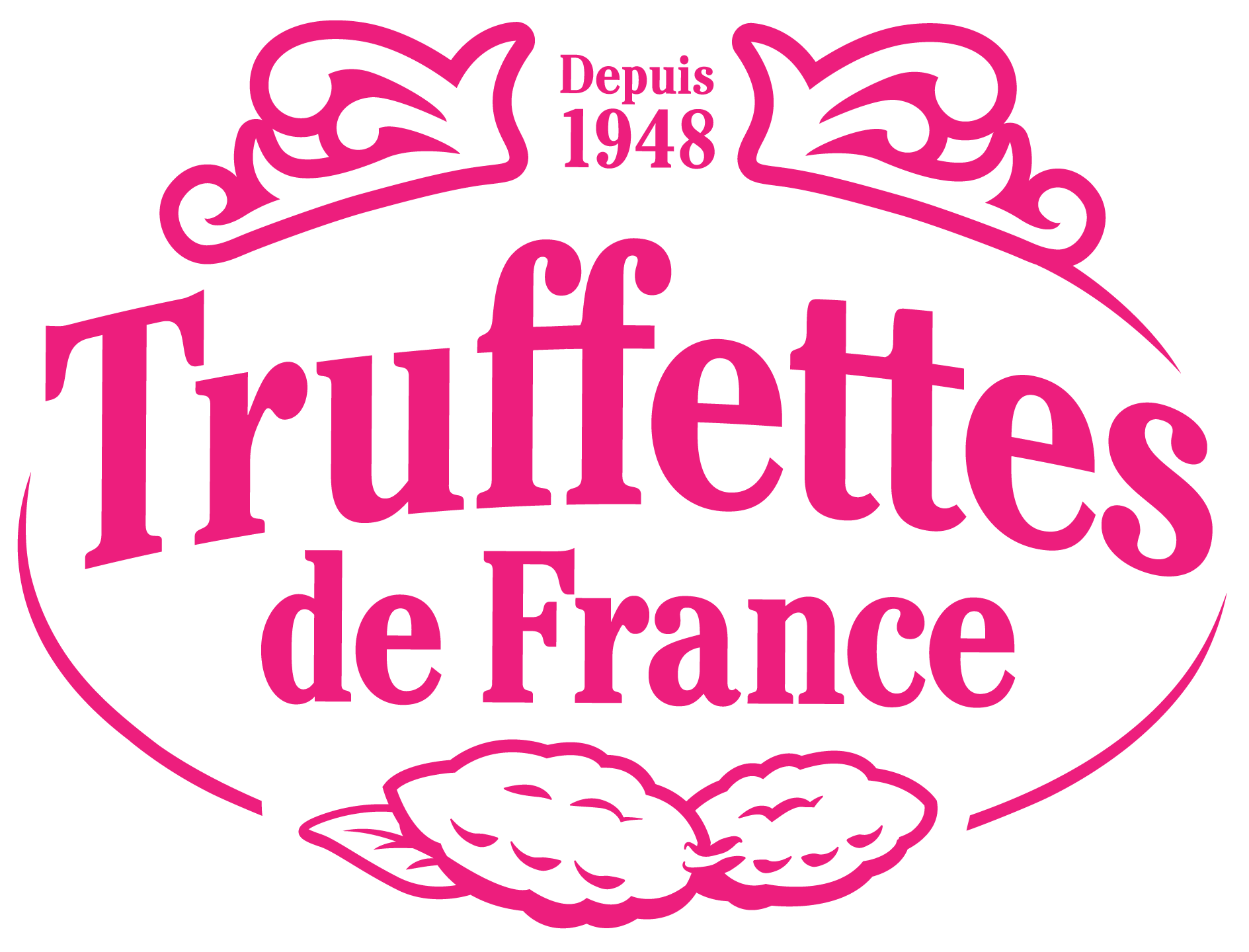 Truffettes de france. Truffettes. Truffettes de France логотип. Зефир Truffettes de France. DELEFRANCE поставщик выпечки в Молдову.